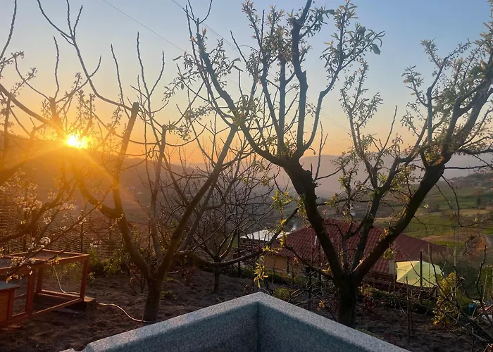 Quinta Do Sonho