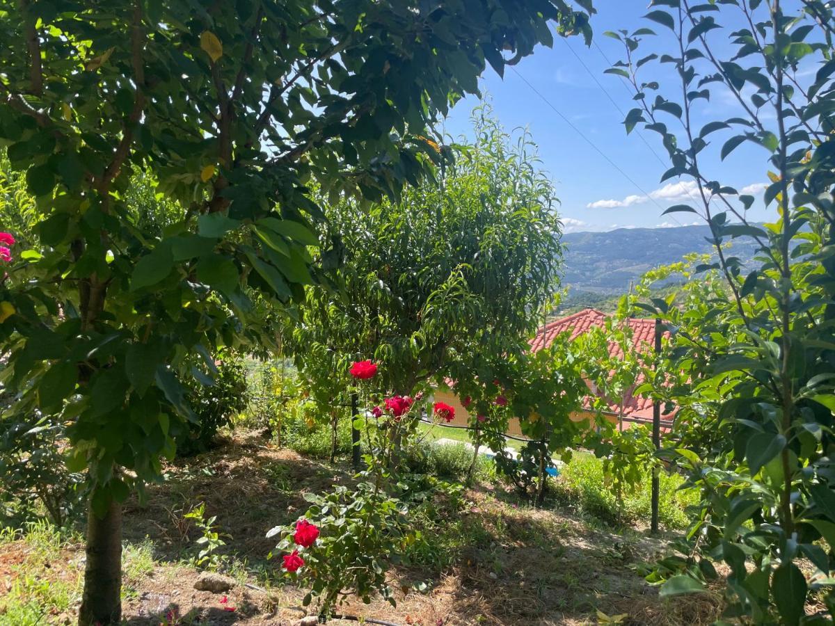 Quinta Do Sonho Hébergement de vacances *