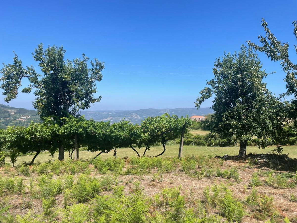 Hébergement de vacances Quinta Do Sonho