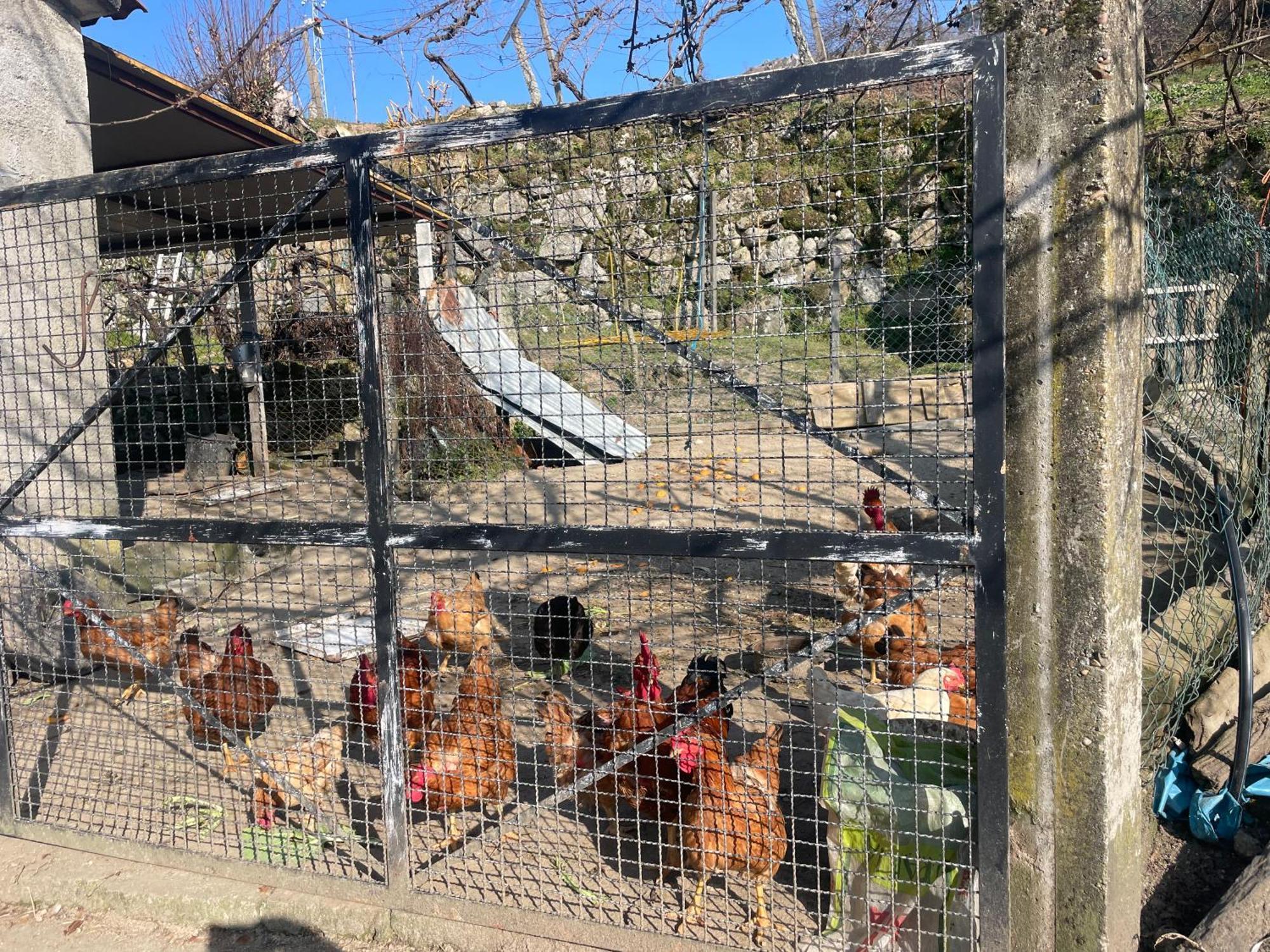 Hébergement de vacances Quinta Do Sonho *