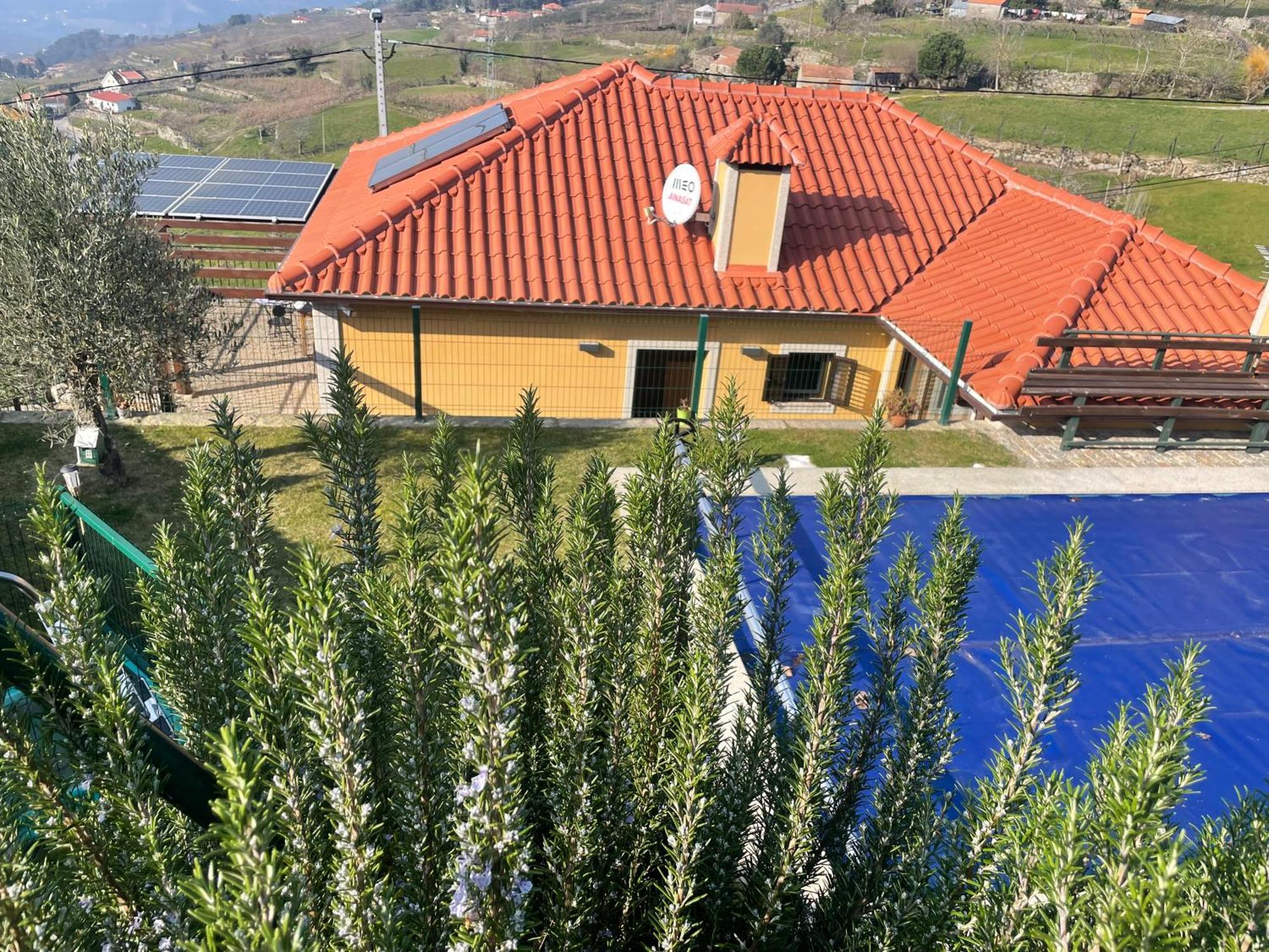 Quinta Do Sonho Hébergement de vacances