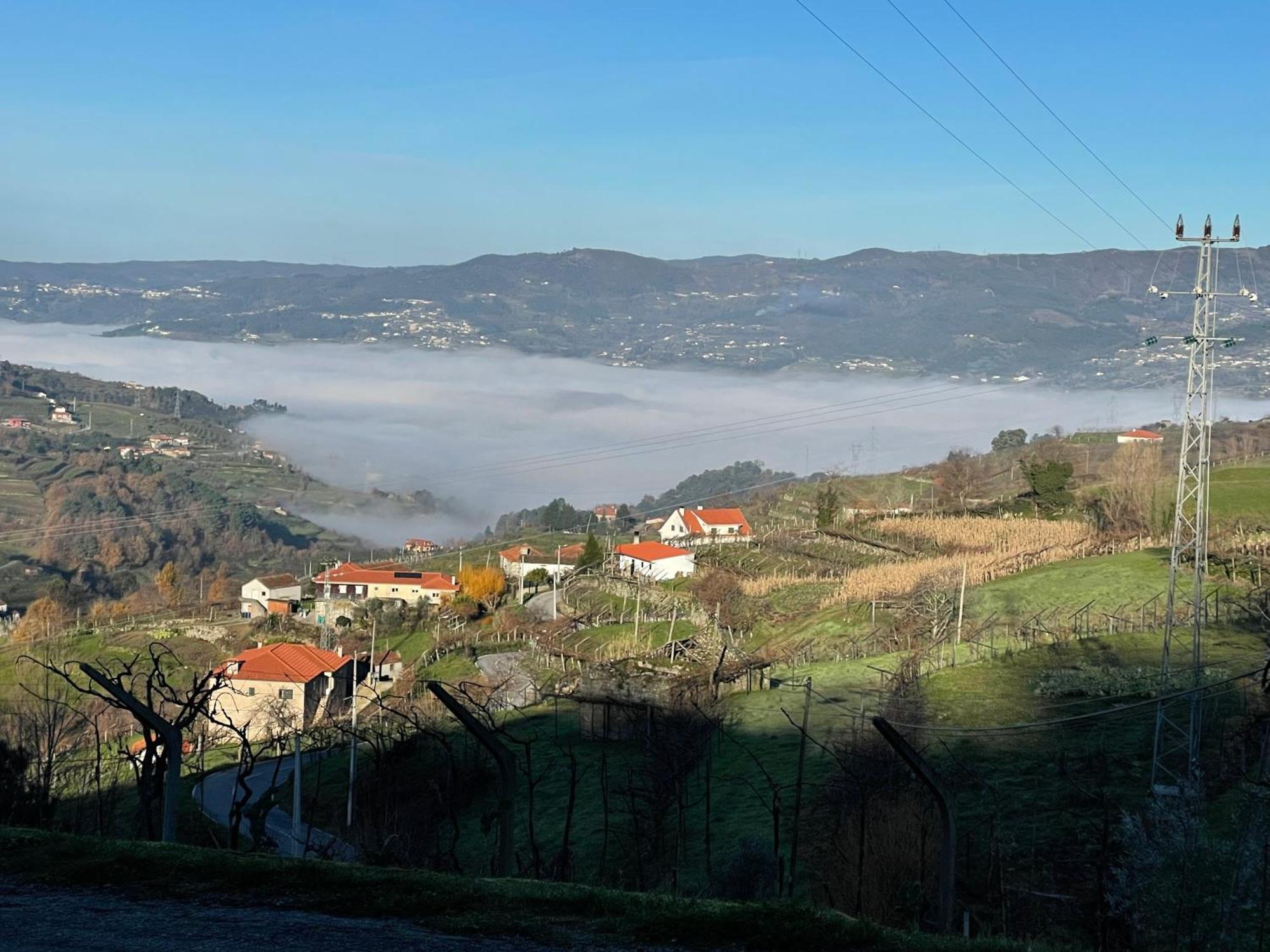 Quinta Do Sonho Hébergement de vacances