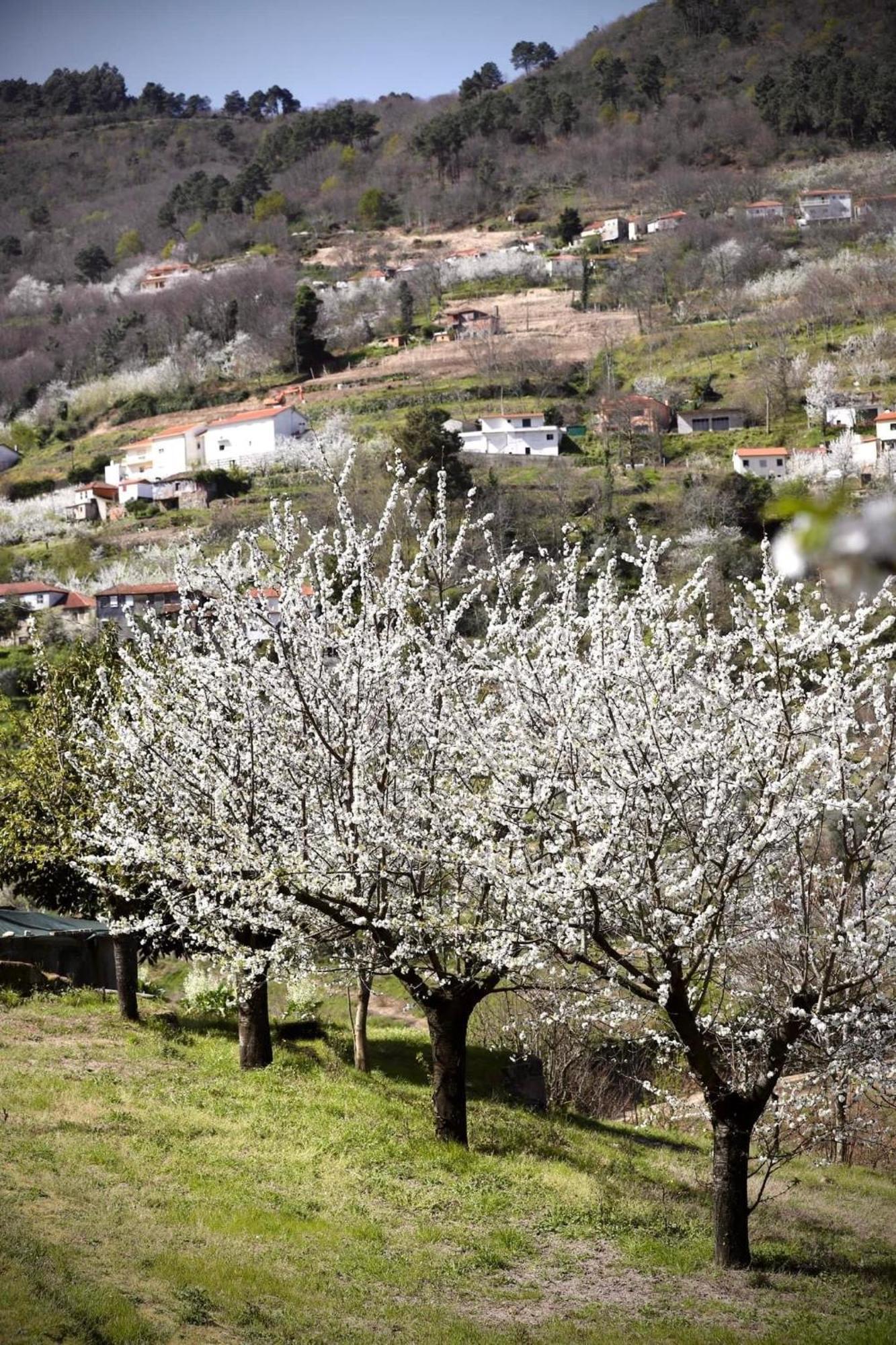 Hébergement de vacances Quinta Do Sonho *