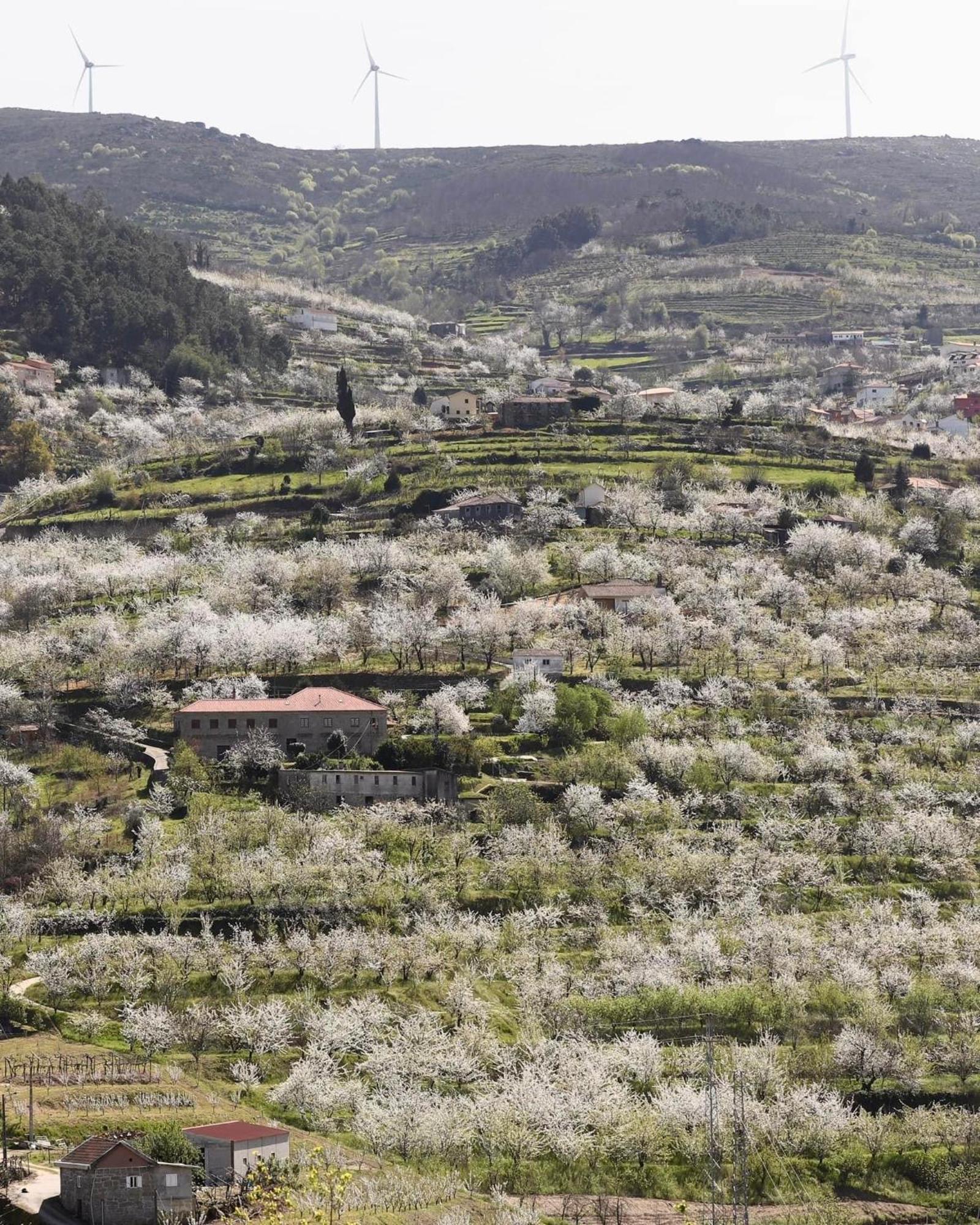 Quinta Do Sonho