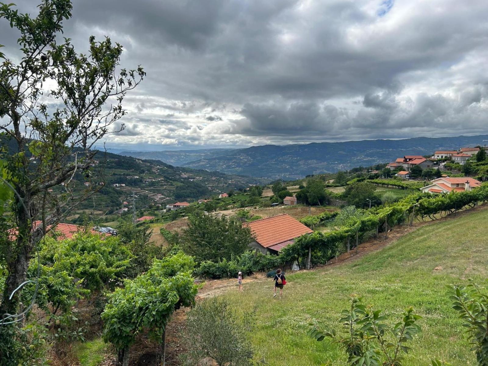 Quinta Do Sonho Hébergement de vacances *