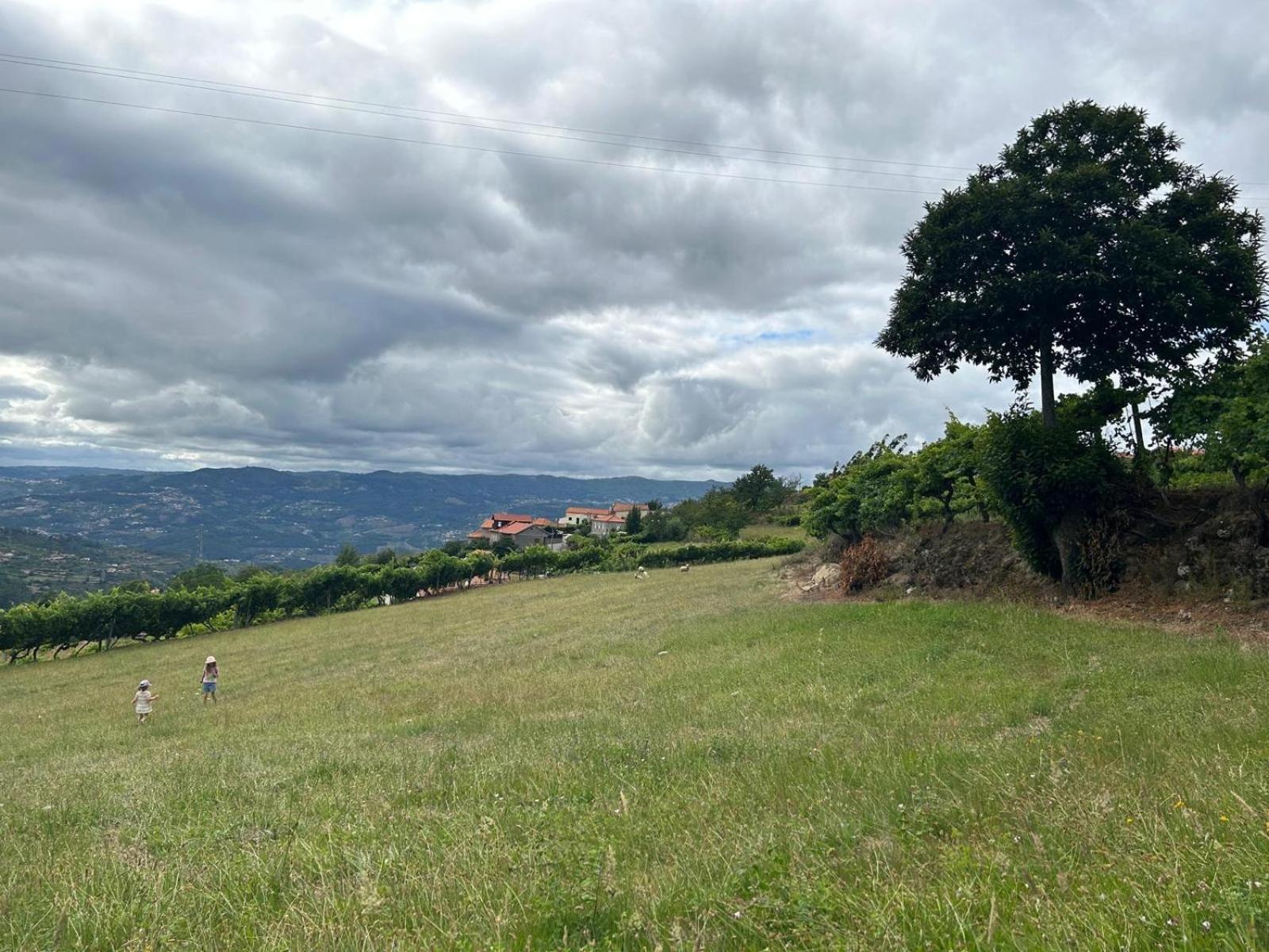 Quinta Do Sonho Hébergement de vacances Resende