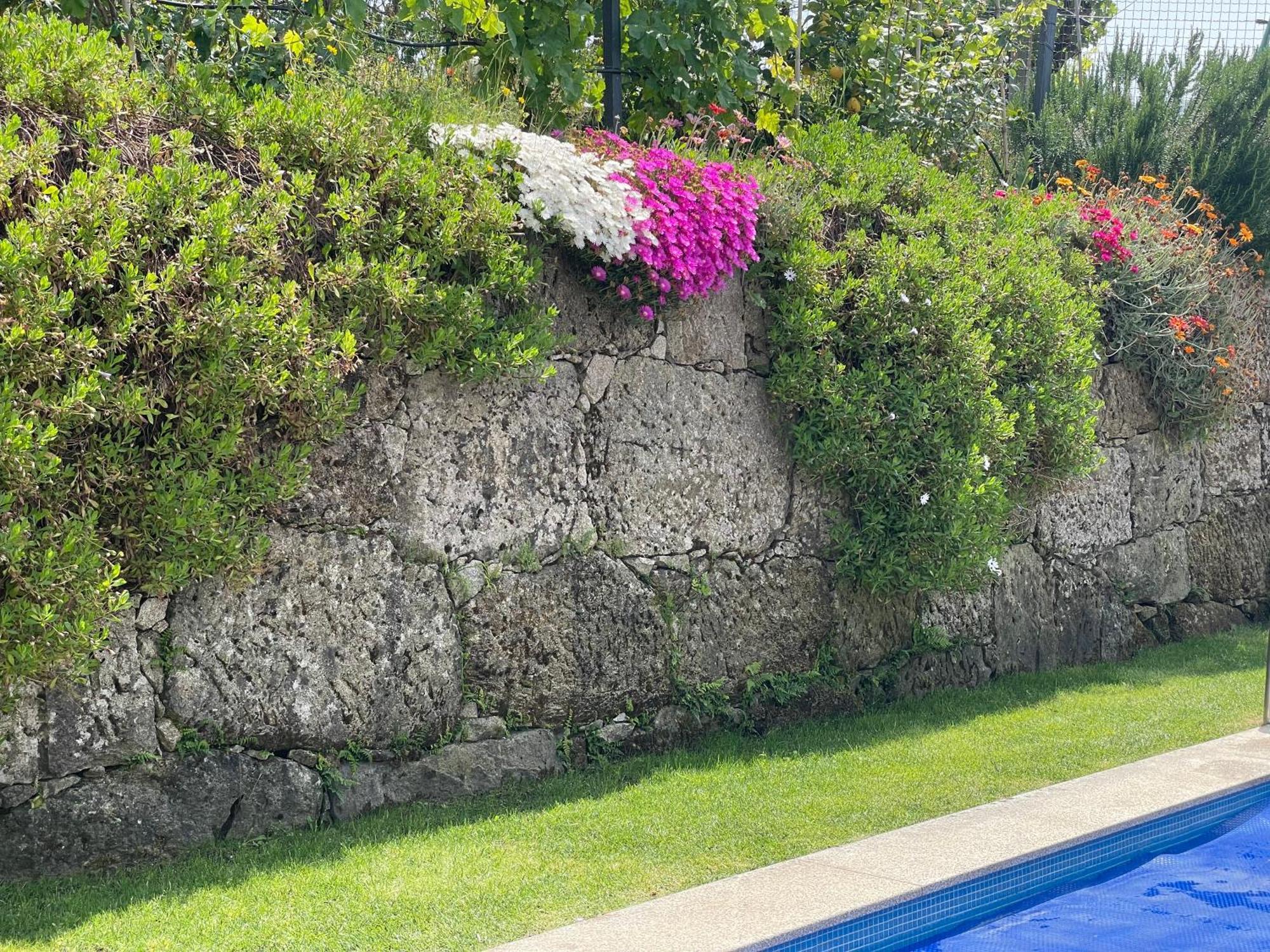 Quinta Do Sonho Hébergement de vacances Resende