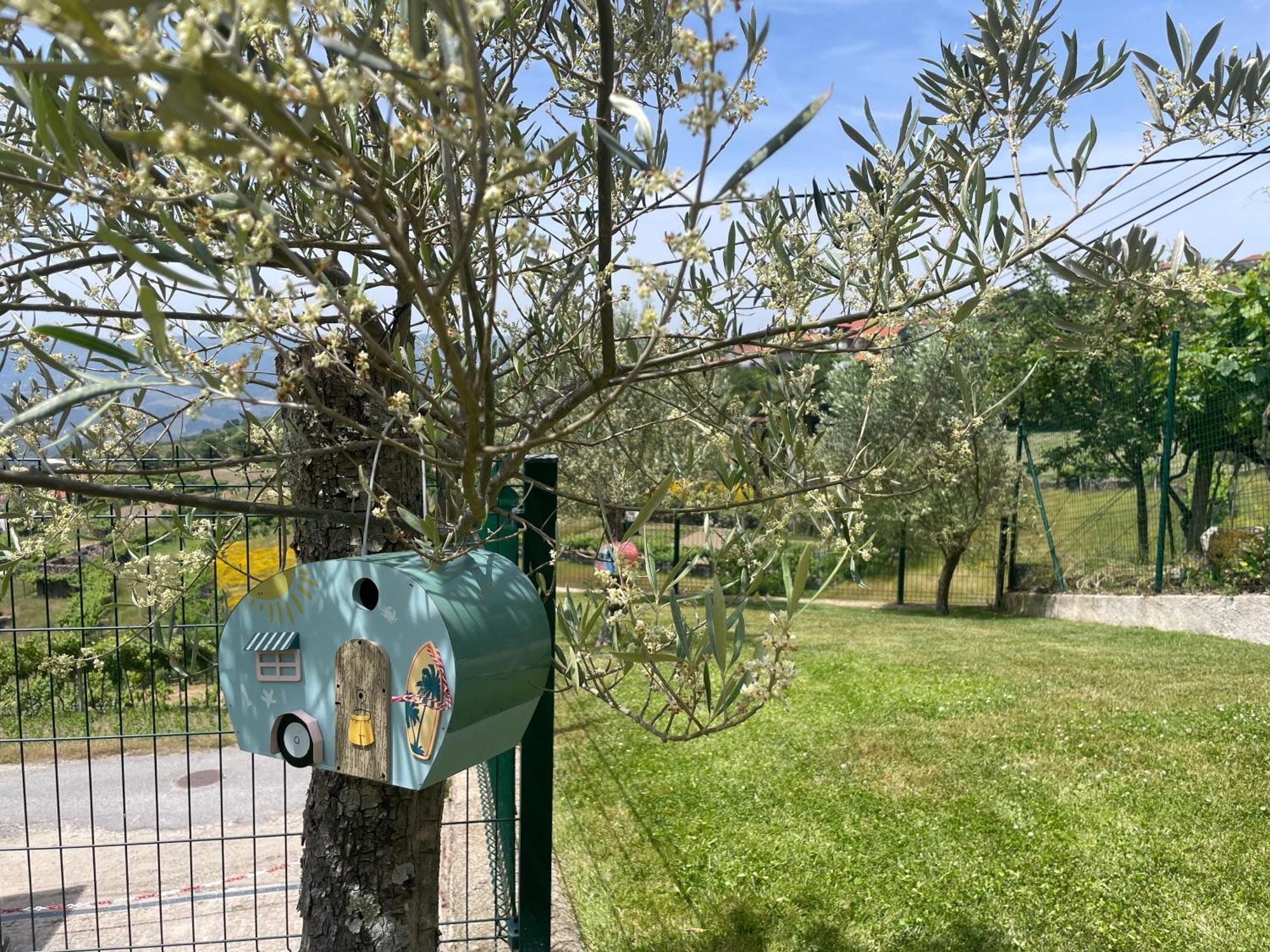 Hébergement de vacances Quinta Do Sonho Resende
