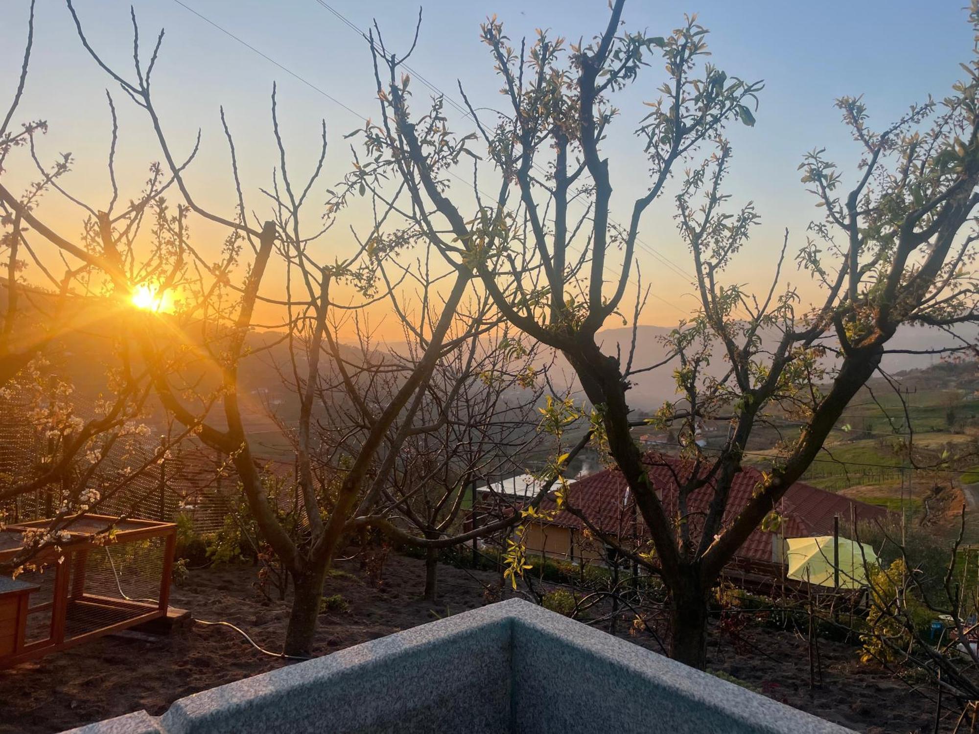 Hébergement de vacances Quinta Do Sonho Resende